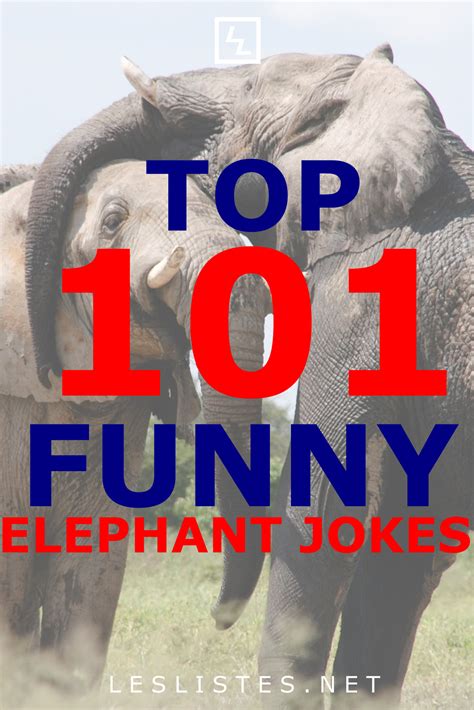 Top 101 Funny Elephant Jokes That Are So Big You Will Lol Les Listes
