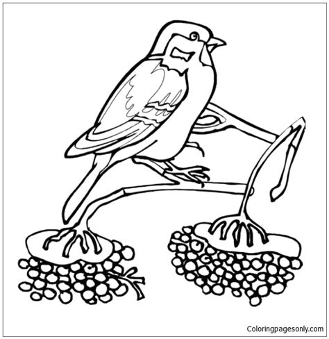 Winter Birds Of The North Coloring Page