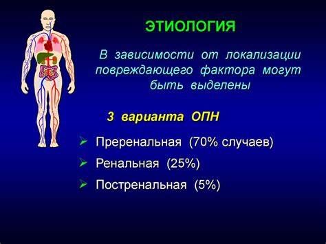 7 диета почечная недостаточность Острая почечная недостаточность - презентация онлайн Острая почечная недостаточность - презентация онлайн 7 диета почечная недостаточность
