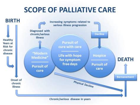 Palliative Care Provider