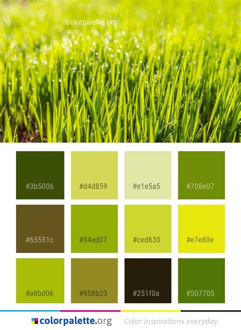 Green Grass Vegetation Color Palette Colors Inspiration Graphics