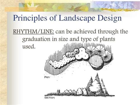 Principles Of Landscape Design Landscape Design Lanscape Design