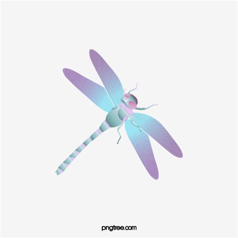Dragonfly Clipart Colored Dragonfly Colored Transparent Free For