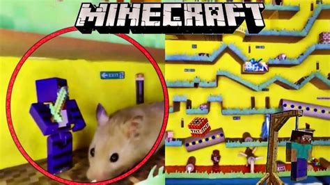 Hamster In Mine Craft Maze And Goes With Vertical Maze Youtube