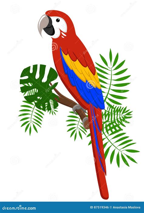 Parrots Cartoon Vector Illustration Parrot Set Exotic Birds Stock