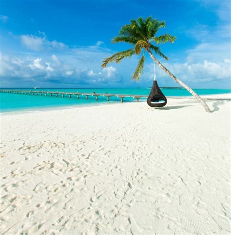 Premium Photo Tropical Beach In Maldives With Few Palm Trees And Blue