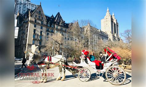 Central Park Carriage Ride Central Park Horse And Carriage Tours