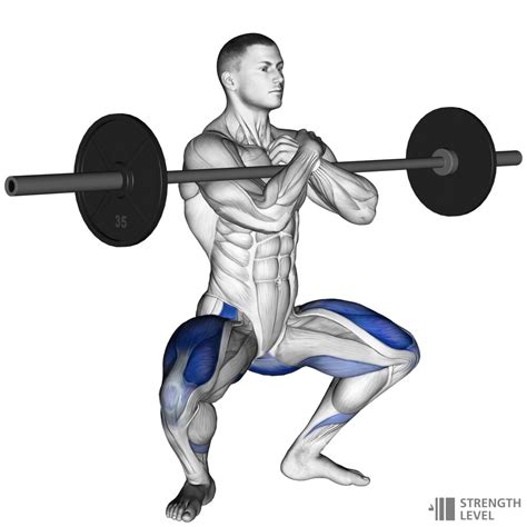 Zercher Squat Standards For Men And Women Lb Strength Level