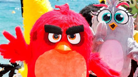 Las Aventuras De Angry Birds Llegarán A Netflix Con Una Serie Animada