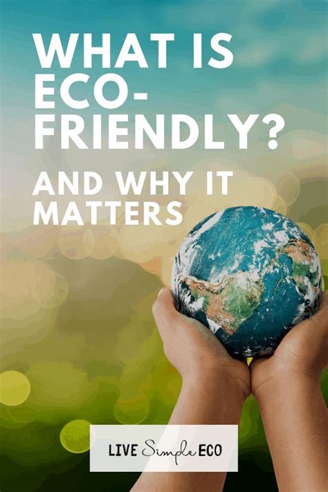 What Is Eco Friendly And Why It Matters In 2020 Environmentally