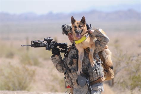 Military Dogs Military Working Dogs War Dogs