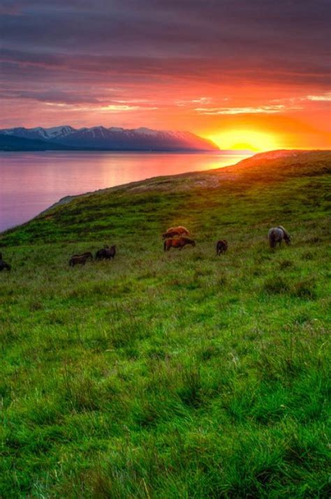 Green Pastures Sunset Beautiful Places Nature Scenery Scenic