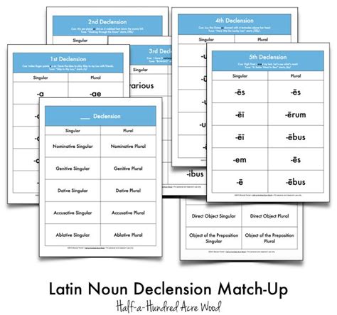 Latin Noun Declension File Folder Games And Cues {printables} Half A Hundred Acre Wood Folder
