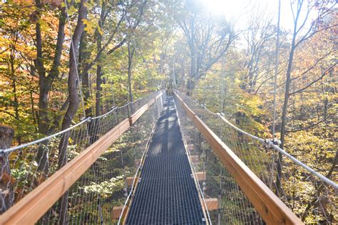 The Murch Canopy Walk At Holden Arboretum
