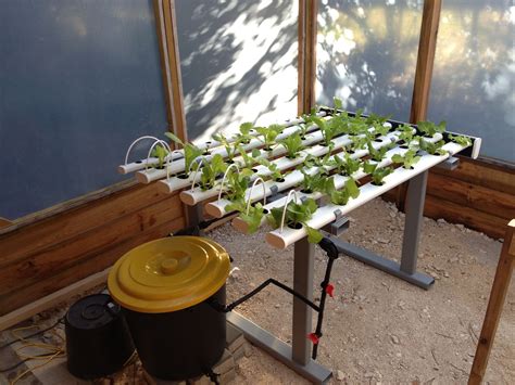 How To Build Your Own Indoor Hydroponic System