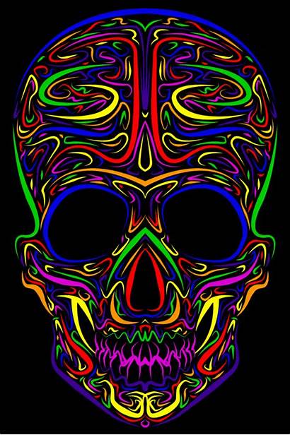 Skull Vector Deviantart Colour Skulls Colorful Gifs