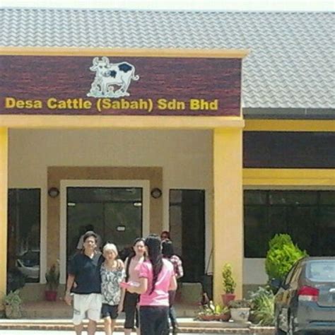 Msu don't tell people how to do things, tell them what to do and let them surprise what products does the country farms sdn bhd buy? Desa Cattle (Sabah) Dairy Farm Sdn. Bhd. - Kundasang, Sabah