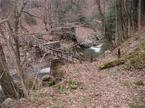 9 Of The Shortest Best Hikes In West Virginia