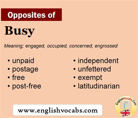 Busy Synonym