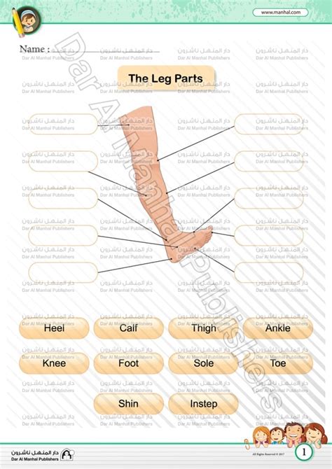 The Leg Parts Science Worksheets
