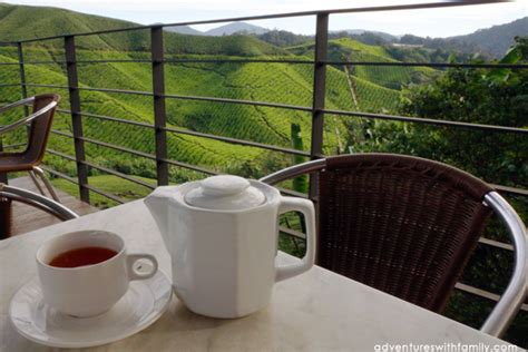 The cameron highlands, which are located at a height of 1,500 meters, are one of the most impressive highlands in malaysia. Cameron Highlands - Adventures with Family