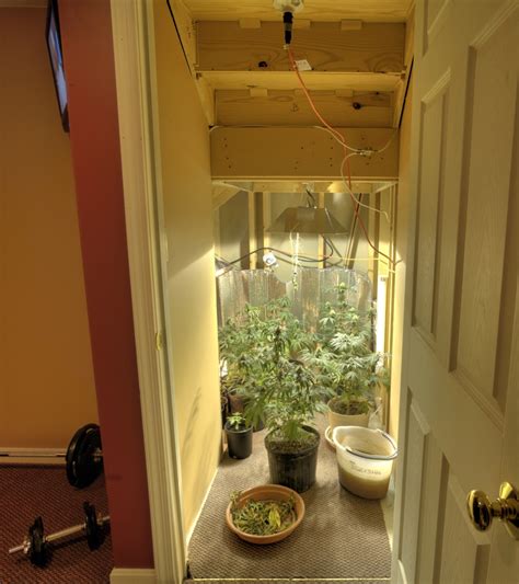 This process of growing weed is usually known as closet grow it basically refers to the small space in the cupboard, closet or wardrobe that is altered. Grow your own? State considers allowing people to grow pot ...