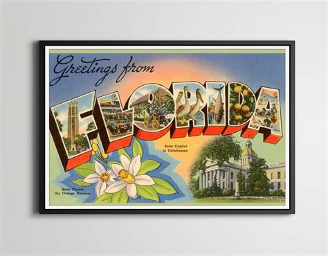 Vintage Florida Postcards Paper Stationery