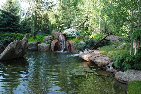 Woodland Pond Slider Escape Garden Design Landscape Construction