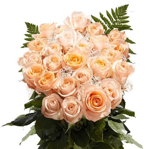 Two Dozen Peach Roses With Babys Breath And Green Fresh Flower