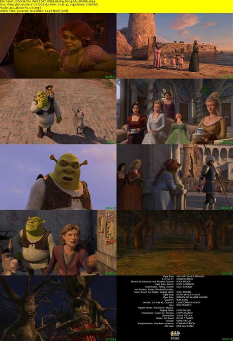 Shrek The Third 2007 1080p Bluray H264 Aac Rarbg Softarchive