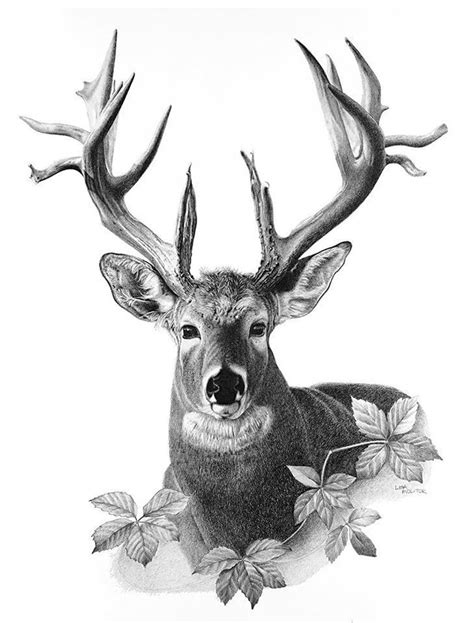 Deer realistic drawing drawing skill. Majestic Deer Deer Pencil Drawing Print Deer Pencil | Etsy