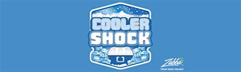 Its slender profile allows it to fit in both coolers and freezers easily. Amazon.com : Cooler Shock Reusable Ice Packs (Set of 3 ...