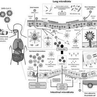 Check spelling or type a new query. Gambar 1. Data indeks pangan kabupaten tahun 2018 ...