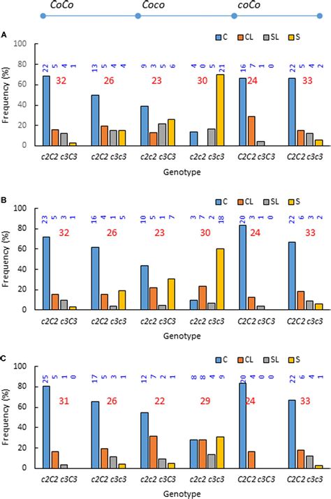 Frontiers | Exploring DNA Variant Segregation Types Enables Mapping