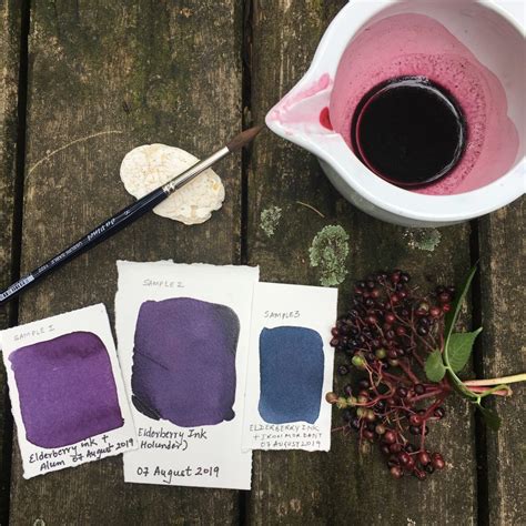 Making Ink From Berries Lost In Colours