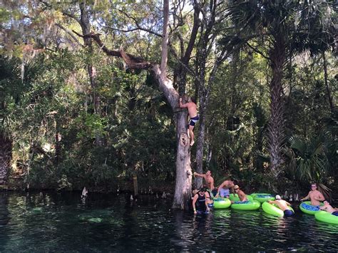 Rainbow River Tour Dunnellon All You Need To Know Before You Go