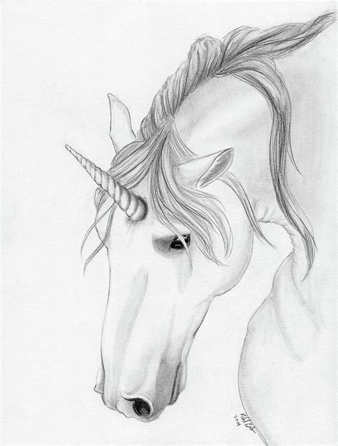 Unicorn in pencil Drawing by Rachel Bales | Fine Art America