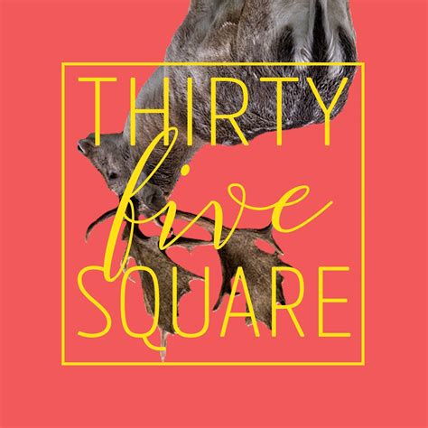 thirty five square theatre