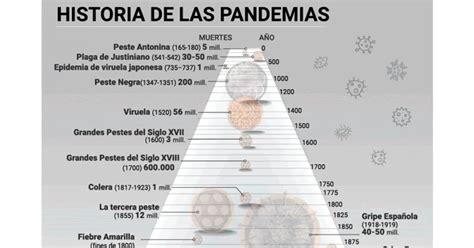 Biombo HistÓrico Las Grandes Pandemias De La Historia