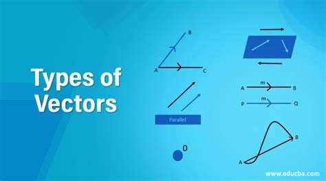 Types Of Vectors Guide To Top 10 Types Of Vectors In Detail
