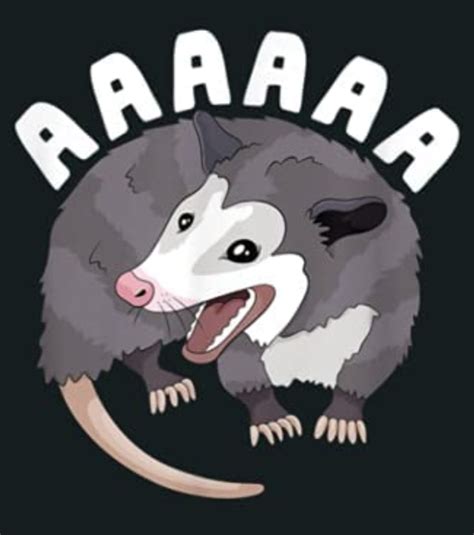 Aaah Screaming Possum Memes Imgflip