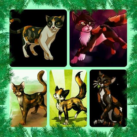 Spottedleaf Warrior Cats Cats And Kittens Warrior