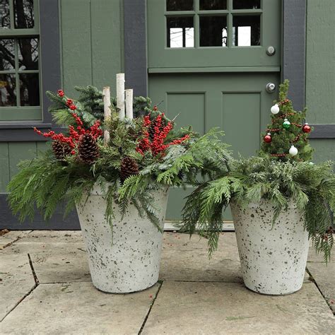 Succulent Container Garden Plans | Winter container gardening, Container plants, Fall container ...