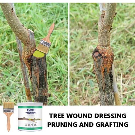 Tree Wound Healing Agent Fruit Tree Sealant Smear Agent Graft Bark