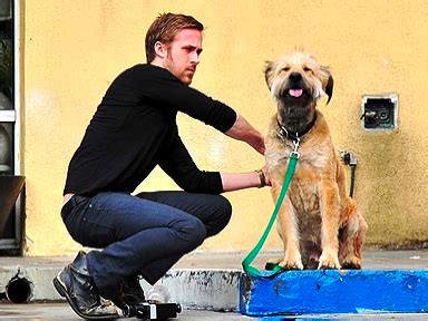 Двукратный номинант на премию «оскар» (2007, 2017), лауреат премии «золотой глобус» (2017), двукратный лауреат премии «спутник». Gosling & George | Ryan gosling, Ryan gosling dog, Hey girl