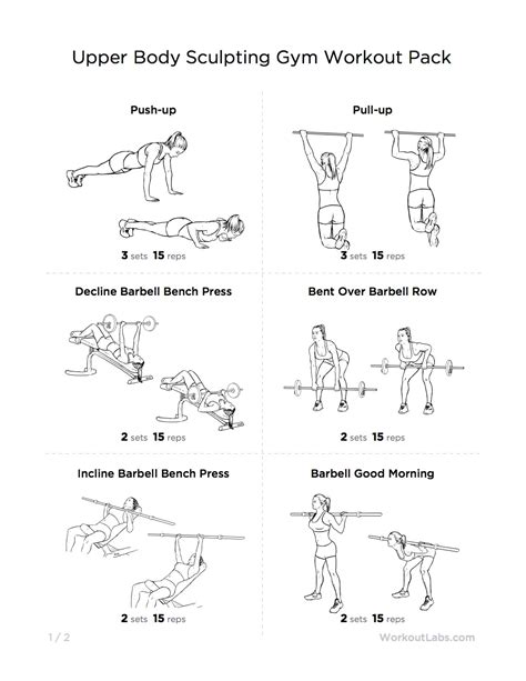Upper Body Sculpting Gym Workout Pack For Men And Women