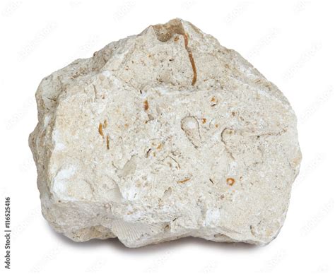 Limestone With Inclusions Of Sea Shells Limestone Is A Sedimentary