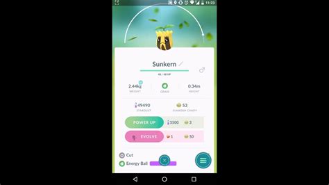 In the generation v games, the sun stone can be sold to an item maniac inside the icirrus city pokémon center for 3000. Pokemon GO - Sunkern evolves into Sunflora using Sun Stone ...