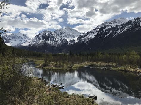 Just Snapped This While Going On A Trail In Eagle River Ak Rpics