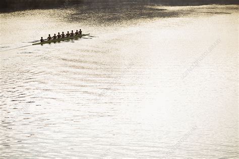 Rowing Team In Scull On Sunny Lake Stock Image F0139774 Science
